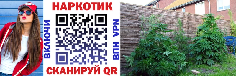 Купить наркотики Волосово A-PVP  АМФЕТАМИН  Cocaine  Мефедрон  ГАШИШ  mega ссылки  Марихуана 