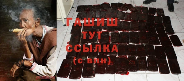 ешки Бородино