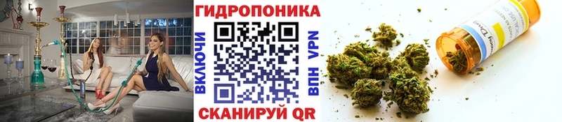 закладка  Волосово  Бошки Шишки Ganja 